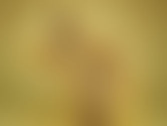 Silêncio, o Rei está na terra! 