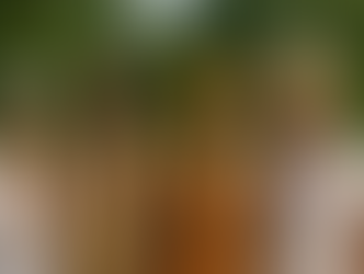 Marco Legal dos Povos Tradicionais de Matriz Africana: Educação Ambiental, Justiça e Preservação da Vida nas Unidades Tradicionais Territoriais