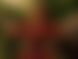 A conexão entre o povo cigano e sua espiritualidade