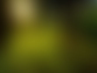 “Itelodu – Nascimento para o Sagrado”: já está no ar o documentário que revela os bastidores da iniciação no culto de Ifá