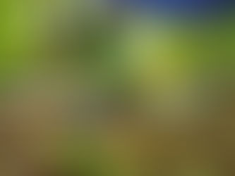 Quando a encruzilhada não existe: Na hora de fazer uma oferenda, o que realmente importa?