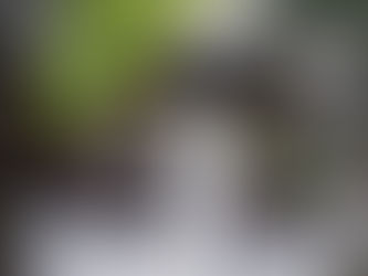 Ilé Axé Iyalode Oxum Kare Ade Omi Aro promove atendimentos sociais à comunidade de seu entorno