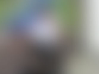 Week 1 @ The MTC (The Grand Adventure, Part Yksi)