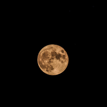 MOON-RED-0108-2003.jpg