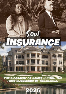 Soul Insurance poster.jpg