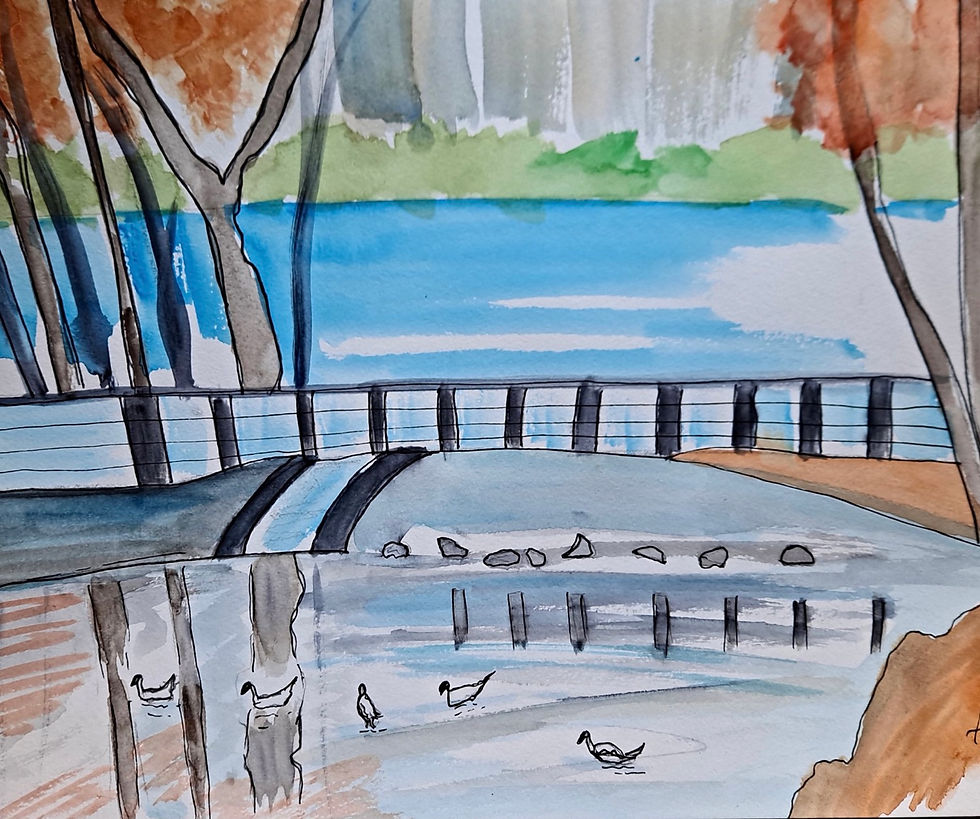 Thumbnail: Central Park Ducks