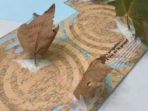 Manifesto for Sustainable Action