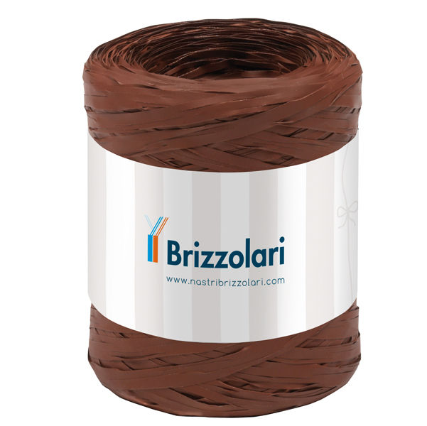 Nastro Rafia sintetica - marrone 14 - 5mmx200mt - Brizzolari - immagine principale