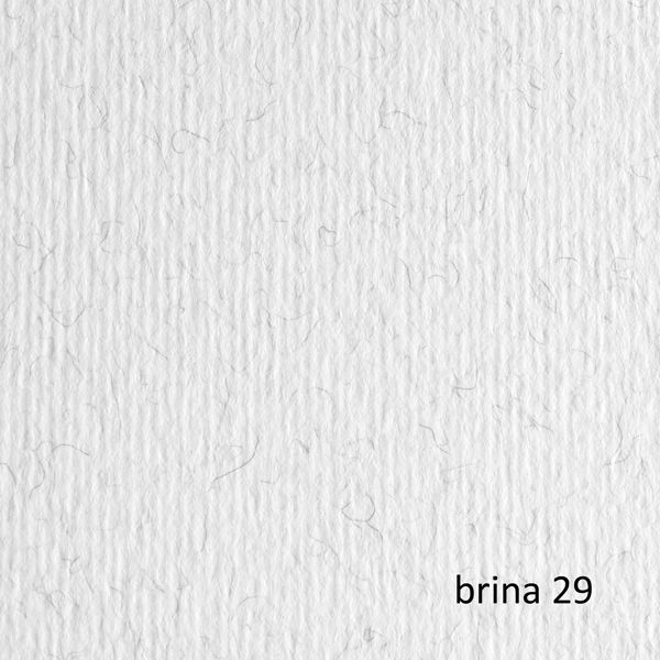 Cartoncino Elle Erre - 50 x 70 cm - 220 gr - brina 29 - Fabriano - blister 20 - immagine principale