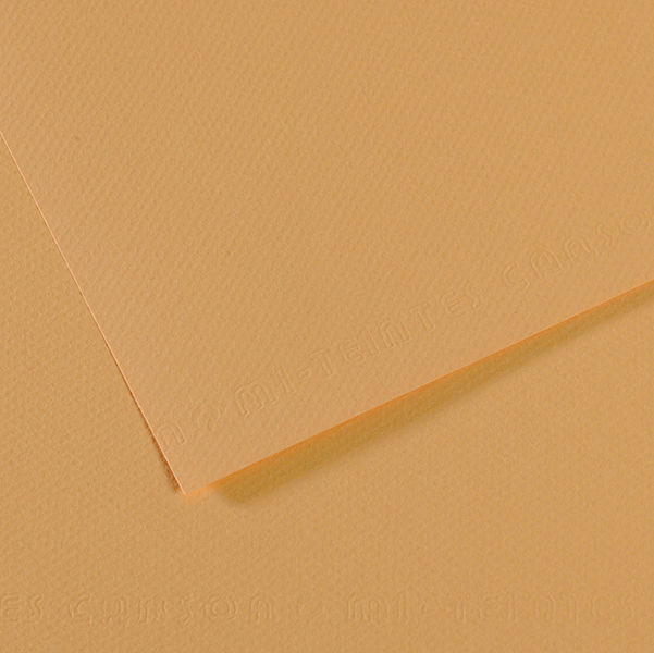 Foglio Mi-Teintes - A4 - 160 gr - canapa chiara - Canson - immagine principale