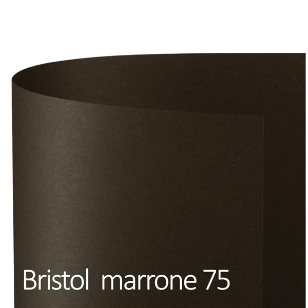 Cartoncino Bristol Color - 50 x 70 cm - 200 gr - marrone 75 - Favini - conf. 25 - immagine principale
