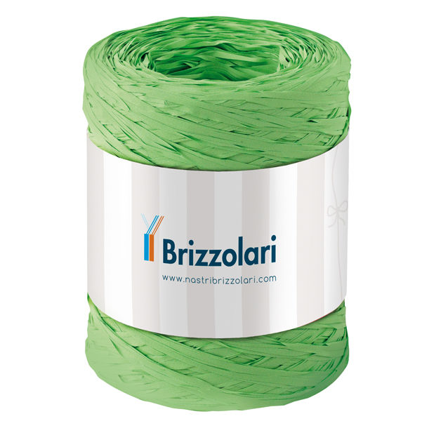 Nastro Rafia sintetica - verde chiaro 10 - 5mmx200mt - Brizzolari - immagine principale