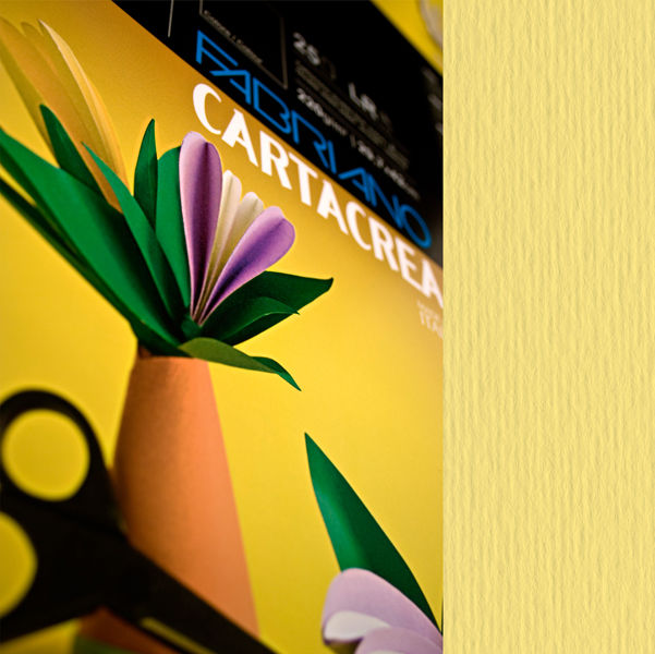 Cartoncino CartaCrea - 35 x 50 cm - 220 gr - onice 117 - Fabriano - blister 10 - immagine principale