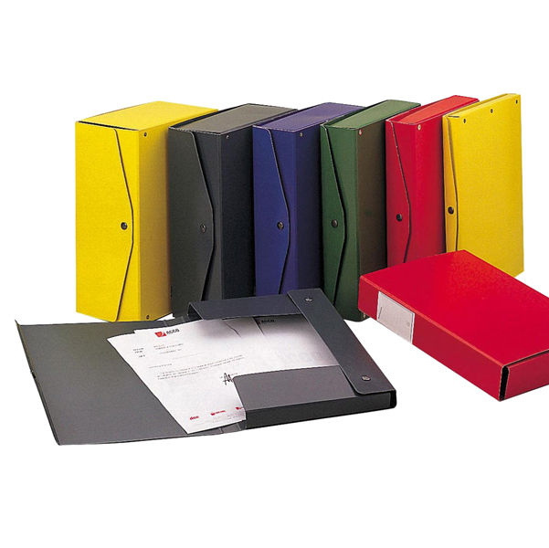 Scatola archivio Project - dorso 8 cm - 25 x 35 cm - verde - Esselte - immagine principale