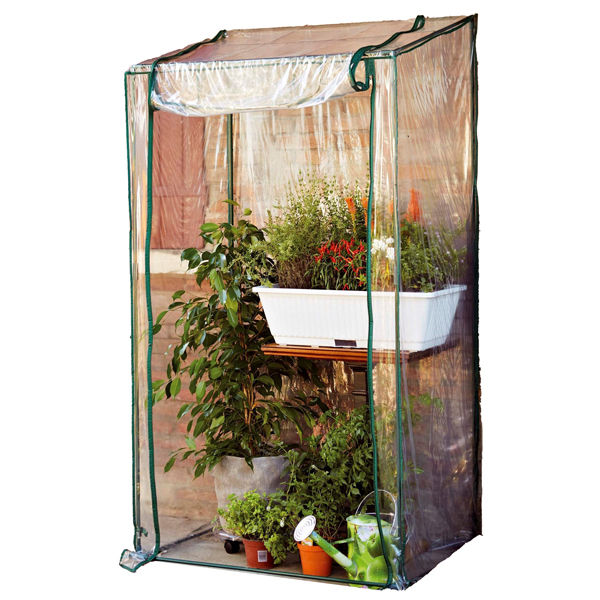 Serra Buganvillea - senza ripiani - 100 x 170/190 cm - PVC - verde/trasparente - immagine principale