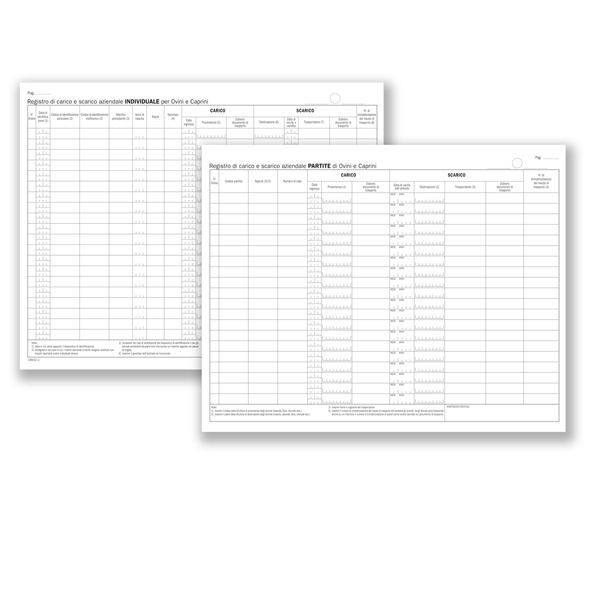 Registro carico/scarico ovini/caprini - 46 pagine numerate - 24,5 x 31 cm - immagine principale