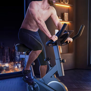 Home use Spin Bike L102B