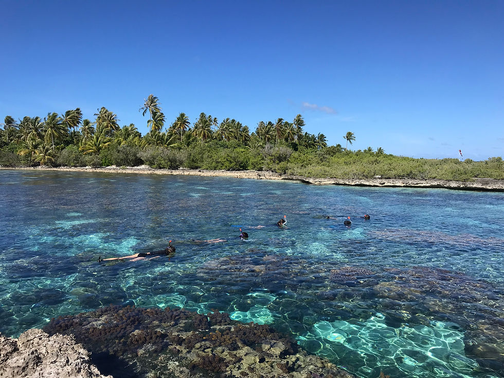 Jardin de corail de Tahaa