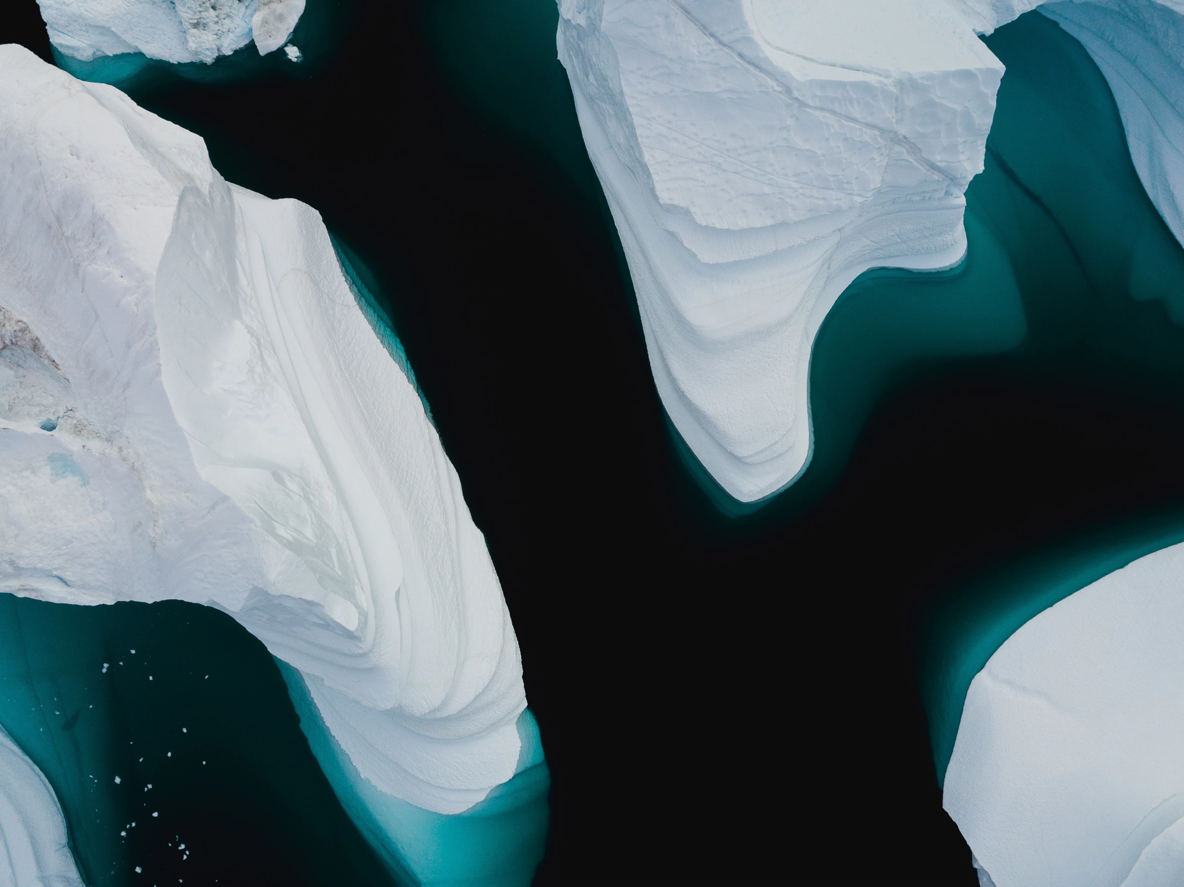 Icebergs.webp