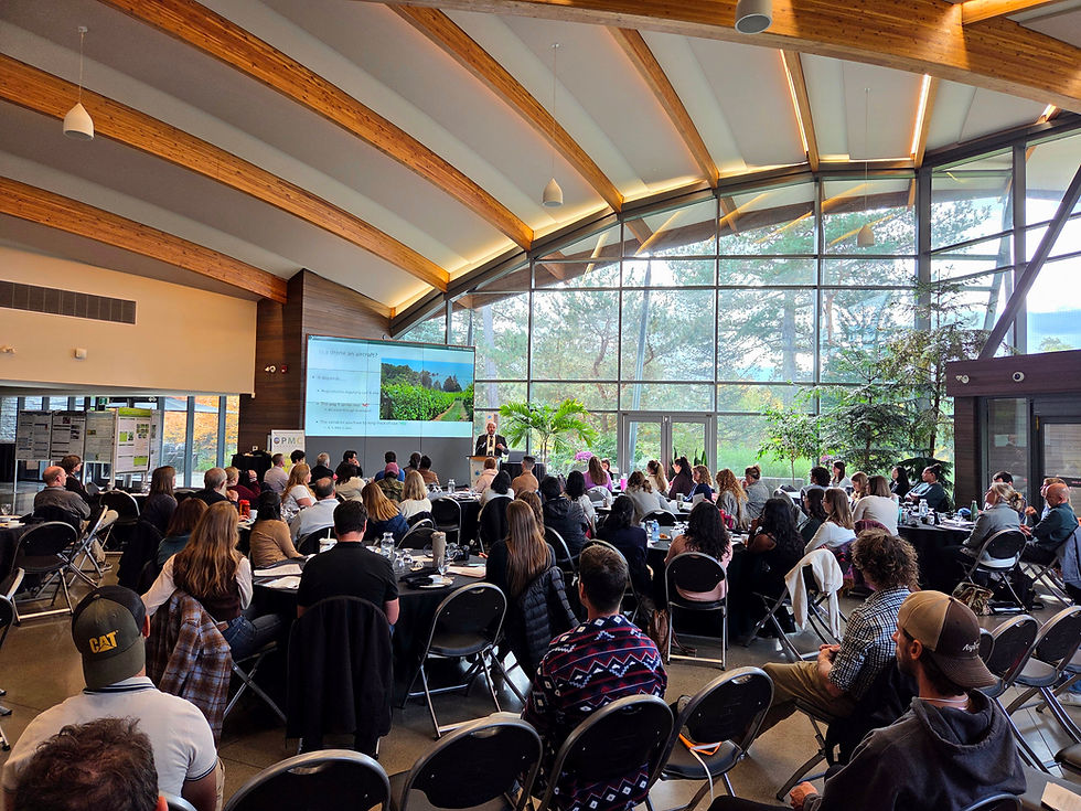 Eye-level view of a conference room filled with attendees engaged in a presentation