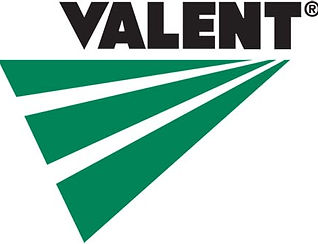 Valent Logo.jpg