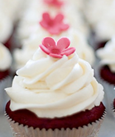 cupcake_edited.png