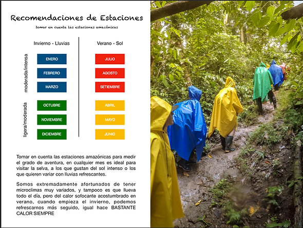 Screenshot 2019-03-13 at 1