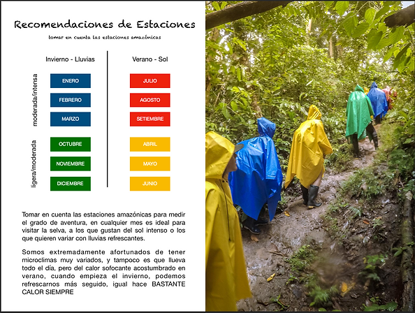 Screenshot 2019-03-13 at 1