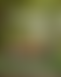 Ecoturismo en Ucayali