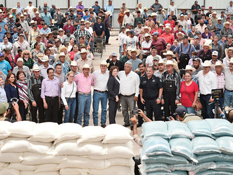 Para que produzcan más y mejor las tierras, Esteban entrega semilla de frijol en Nuevo Ideal