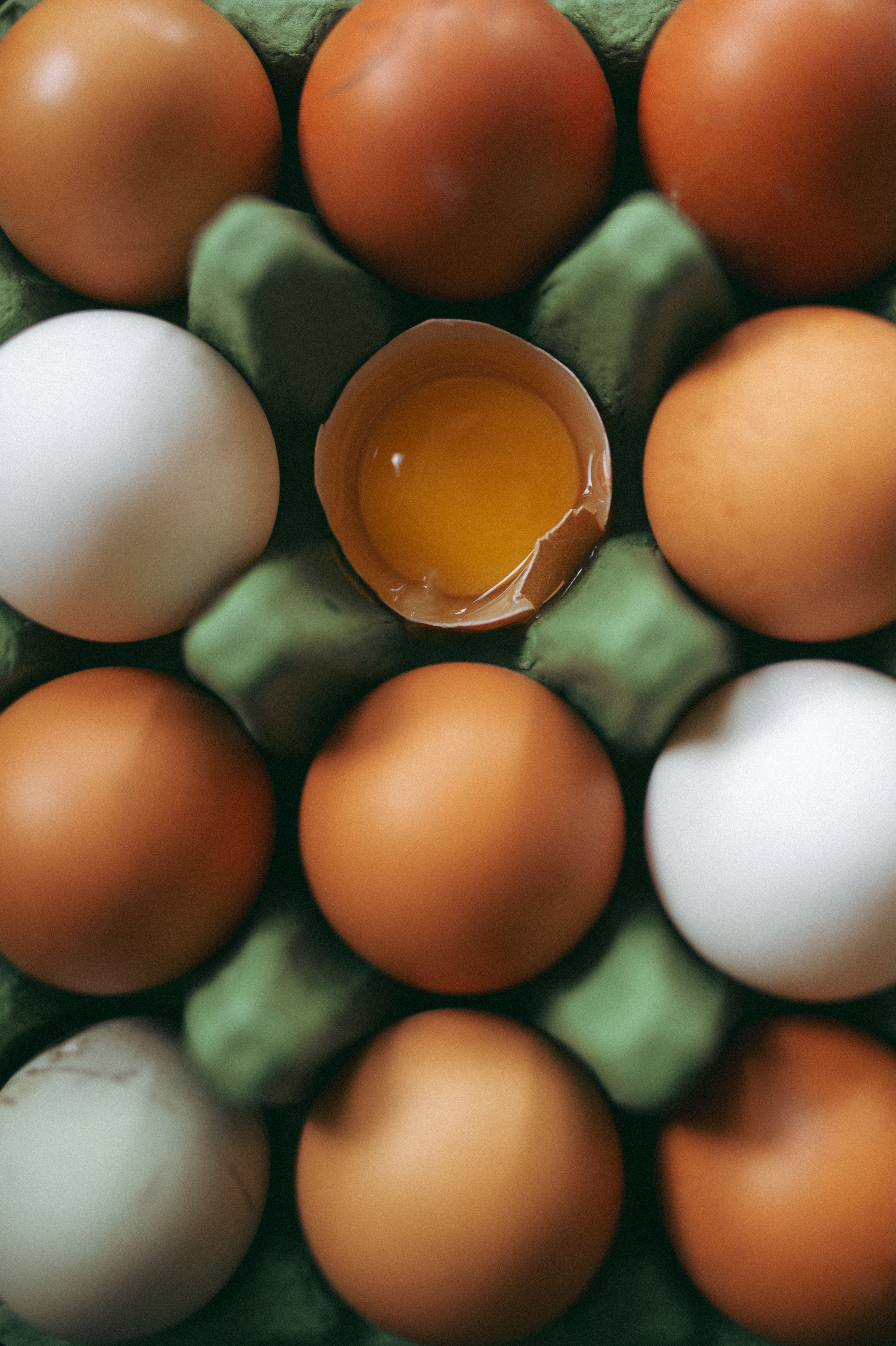 Eggs 