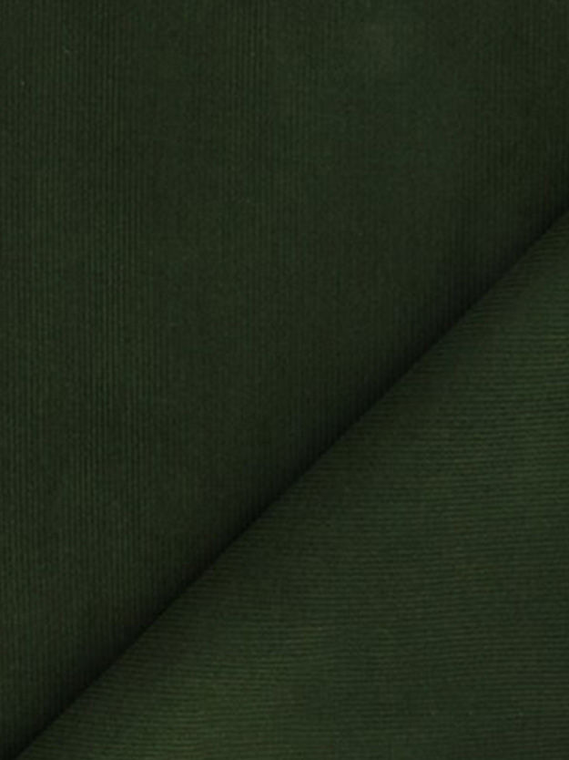 Miniature : Flora - Judy's Blossom