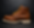 The 313 Boot.png
