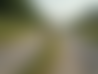 Expert Tips for Gravel Road Installation