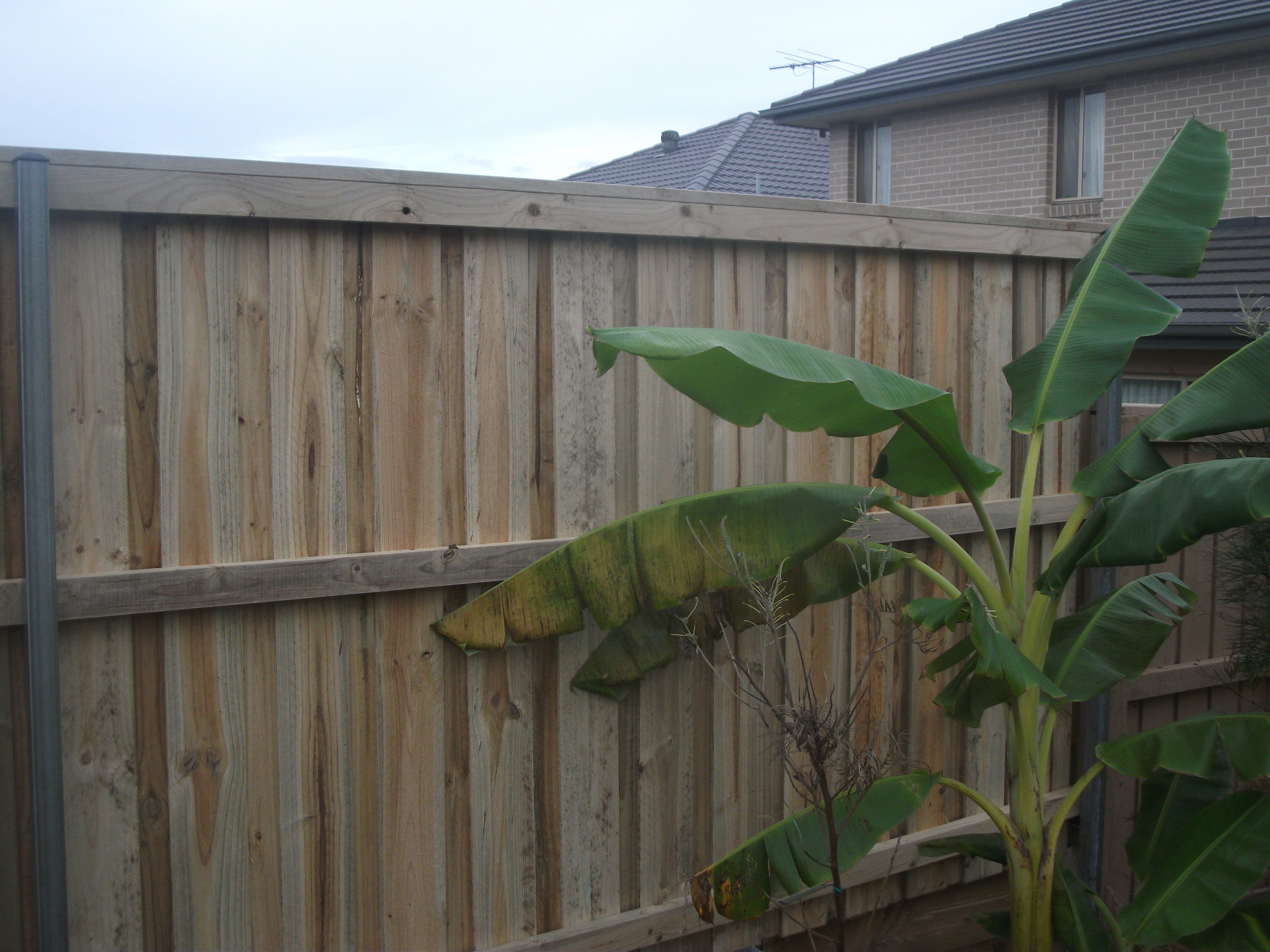 Timber Fencing Timber Fence Price Fencing Contractors Sydney