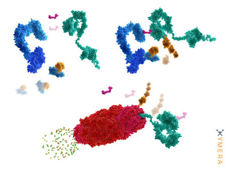 Sanofi Pays Kymera $150M to Kick Off Protein Degrader Partnership