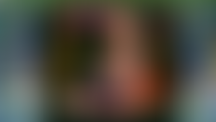 IT'S CHRISTMAS AT THE HIPPIE