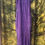 Thumbnail: Bandeau Top Jumper with Sphagetti Straps