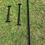 Thumbnail: 800mm Pull Up Bar