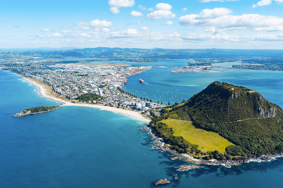 Aerial view of a Mount Maunganui with a Maunga and beach