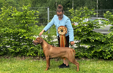 Dio KCHRR nedele 2.heic