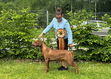 Dio KCHRR nedele 2.heic