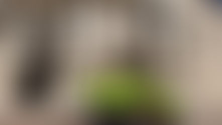 Street Science Running. Oliva Camilla tra le ragazze vince la corsa non competitiva di 5,5 km. Abdifattah Aden la gara competitiva di 11 km.