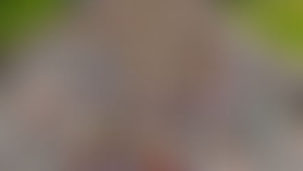 Mezza maratona Roma-Ostia: Daniele Marcelli, quarto degli italiani, migliora il personale. Soddisfacenti  i risultati degli altri atleti.