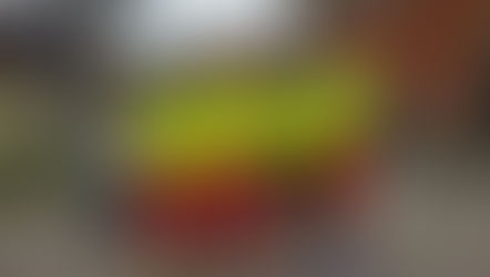 L’Atletica L’Aquila ad Antosano tra sport paralimpico e trail