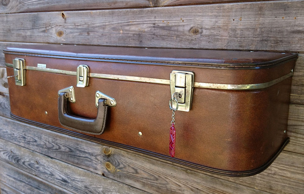 Miniature : Etagère "Valise" Murale