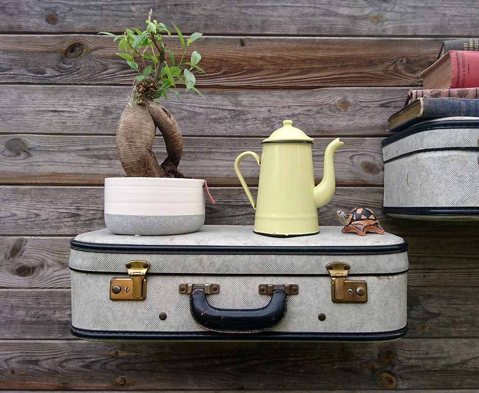 Miniature : Etagère "Valise" Murale