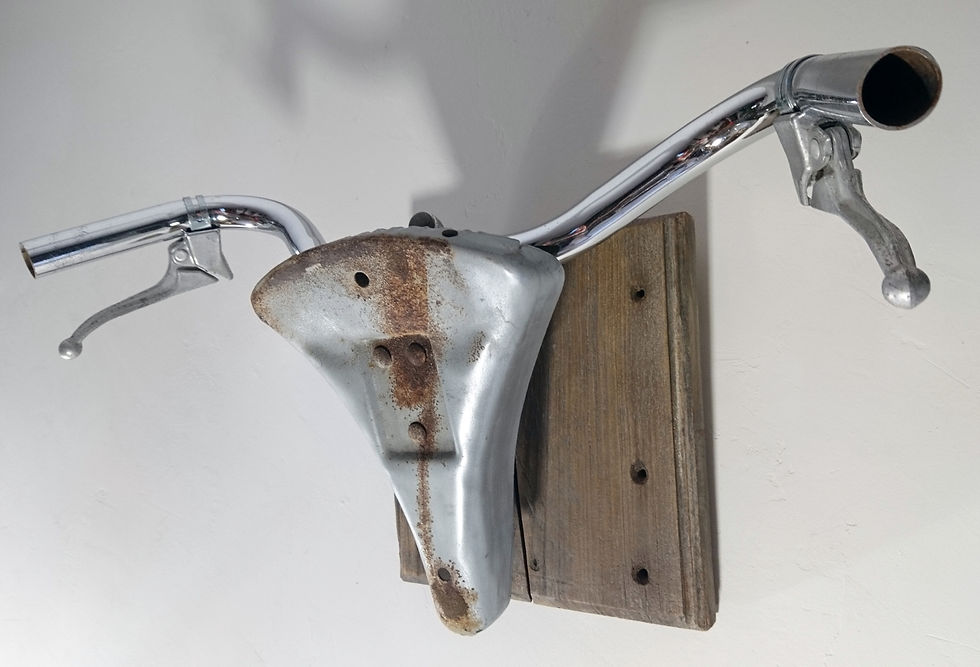 Miniature : Trophée de Chasse Avec ou Sans Scalp !