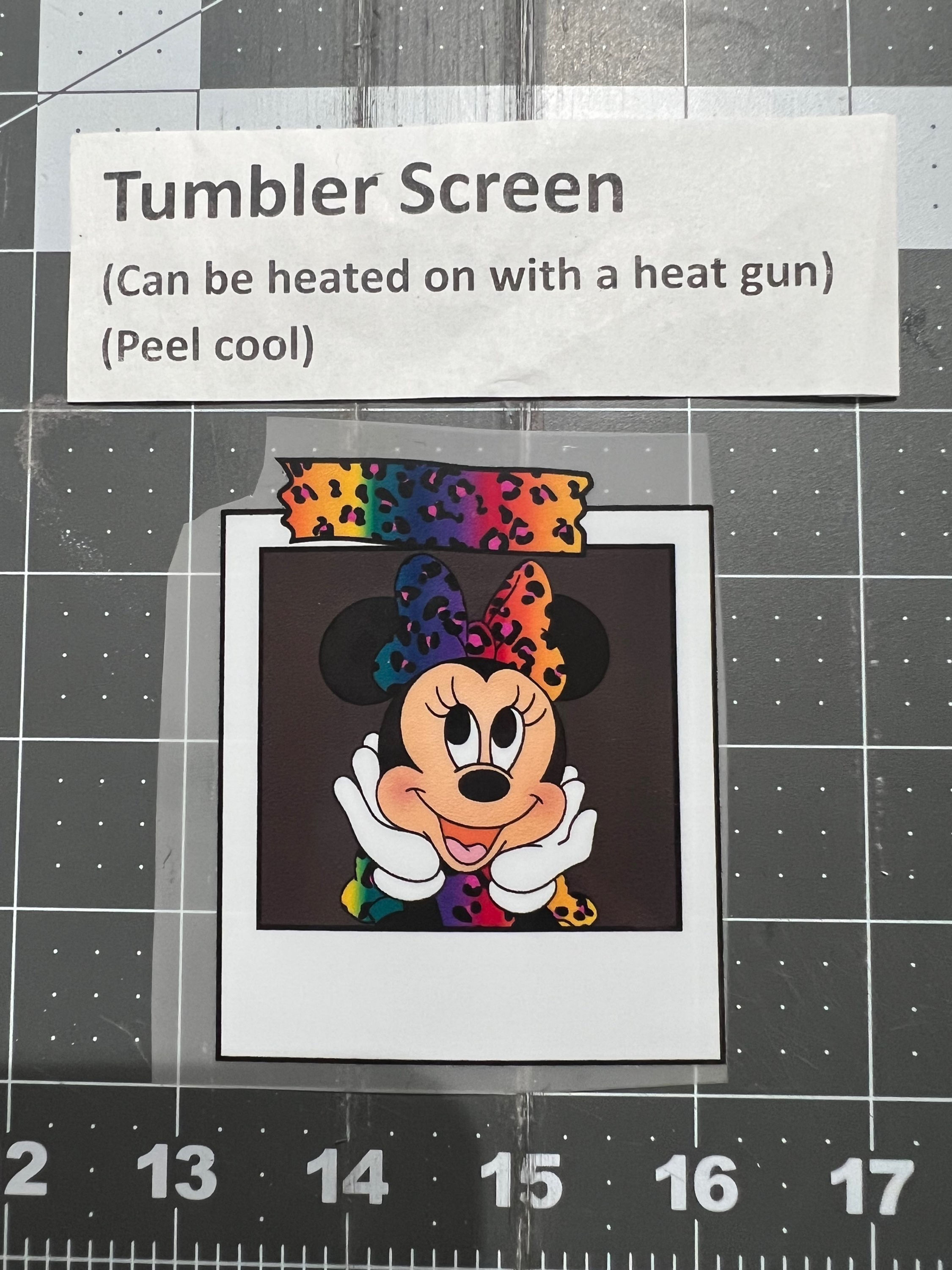 Tum sc Min Mouse photo chargray