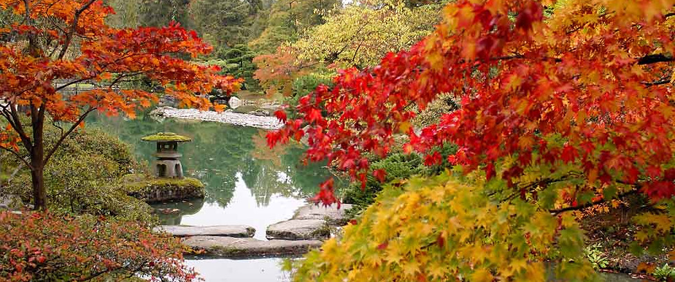 Herbst-Teich